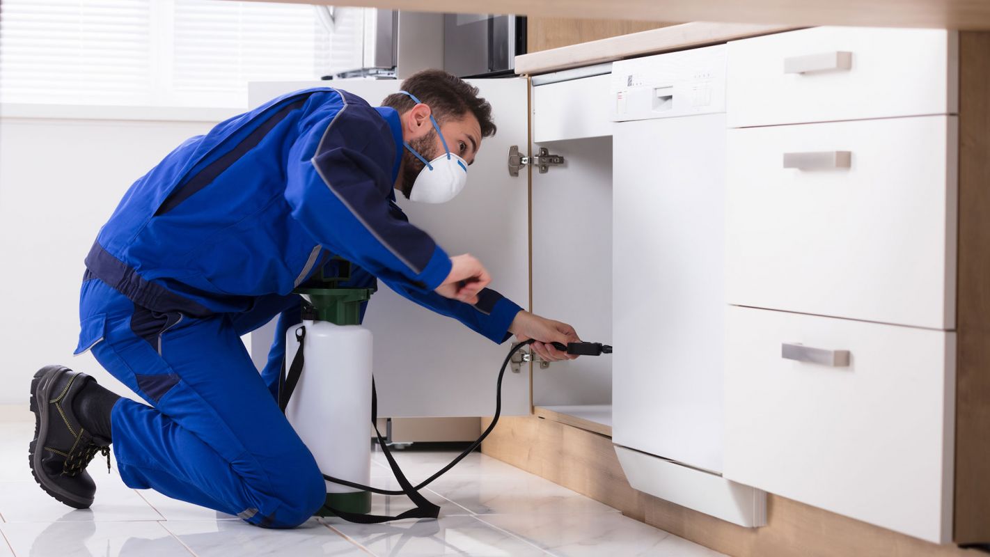 Residential Pest Control San Bernardino CA
