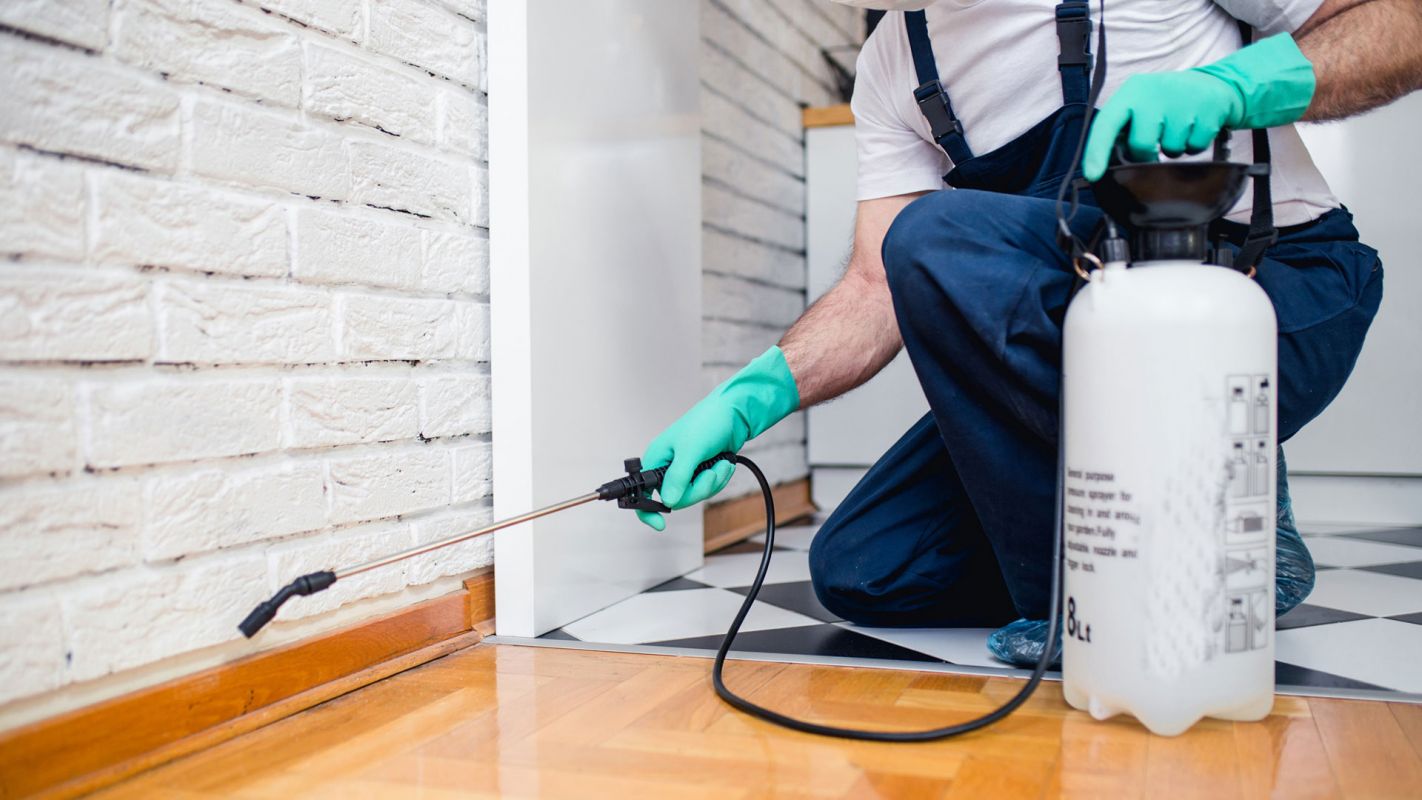 Pest Control Service San Bernardino CA