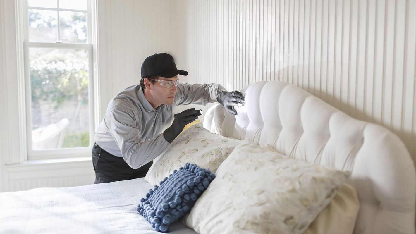 Affordable Bed Bugs Removal San Bernardino CA