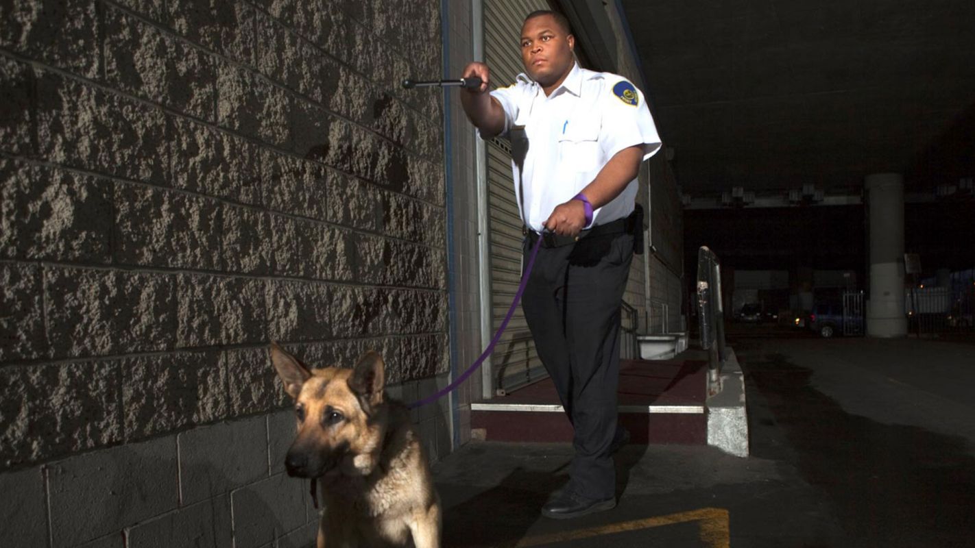 Night Patrol Security Services Ann Arbor MI