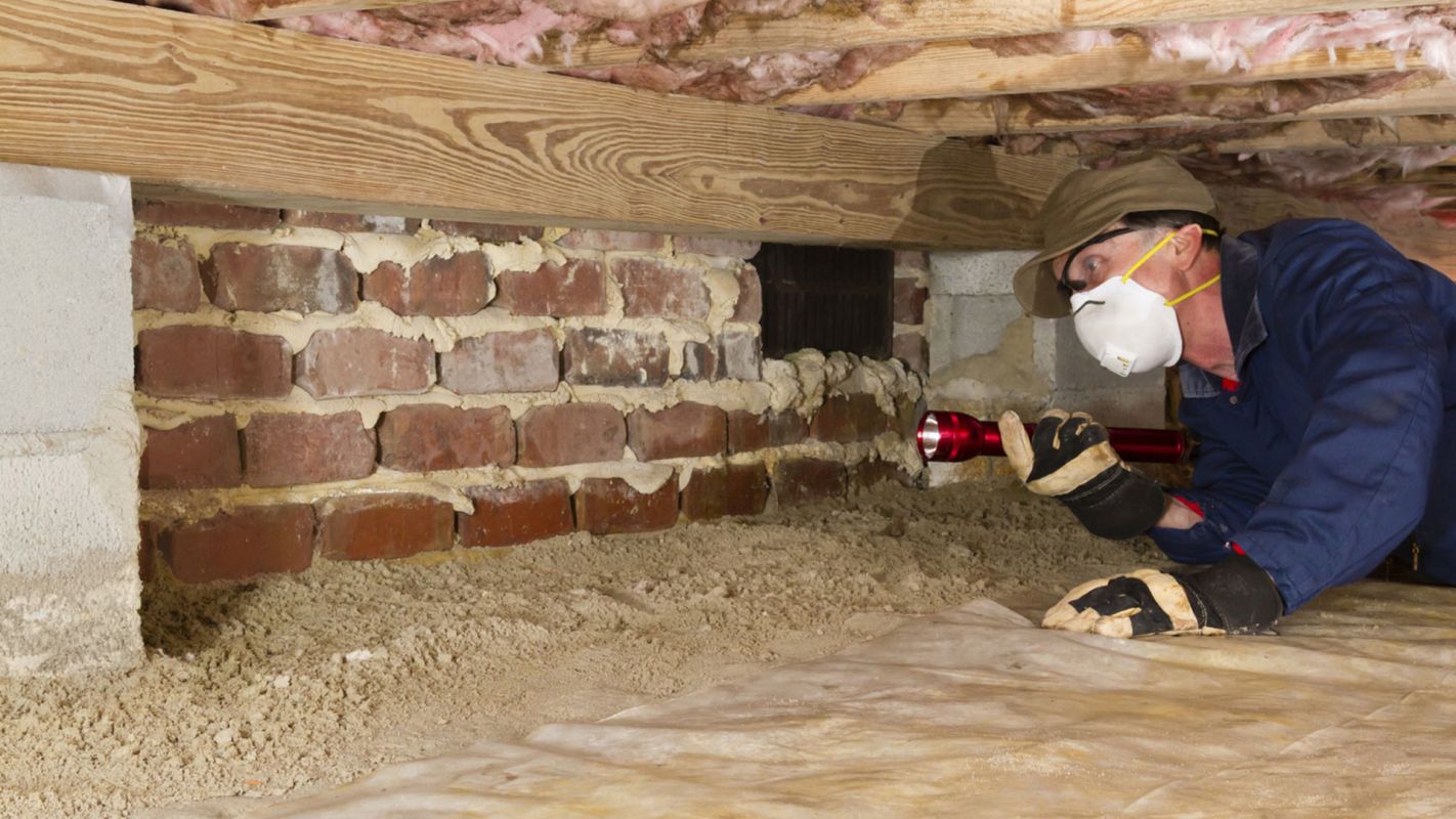Termite Inspection Service Brentwood TN