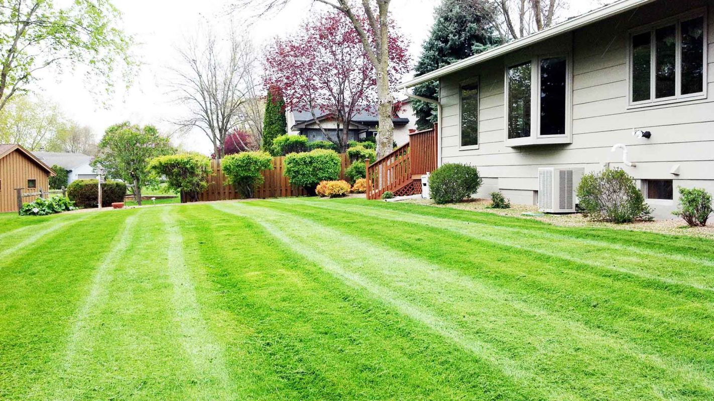 Front Yard Landscaping Cape Coral FL