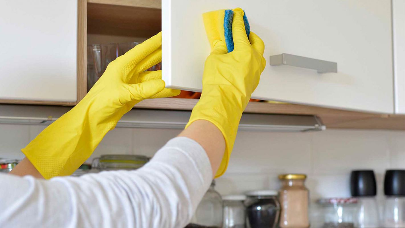Cabinet Cleaning Services Windsor ON