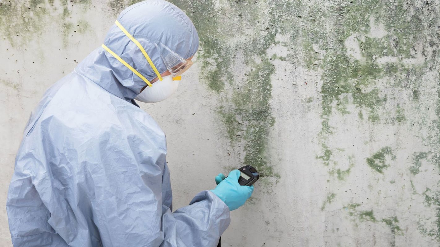 Mold Remediation Services Lee's Summit MO