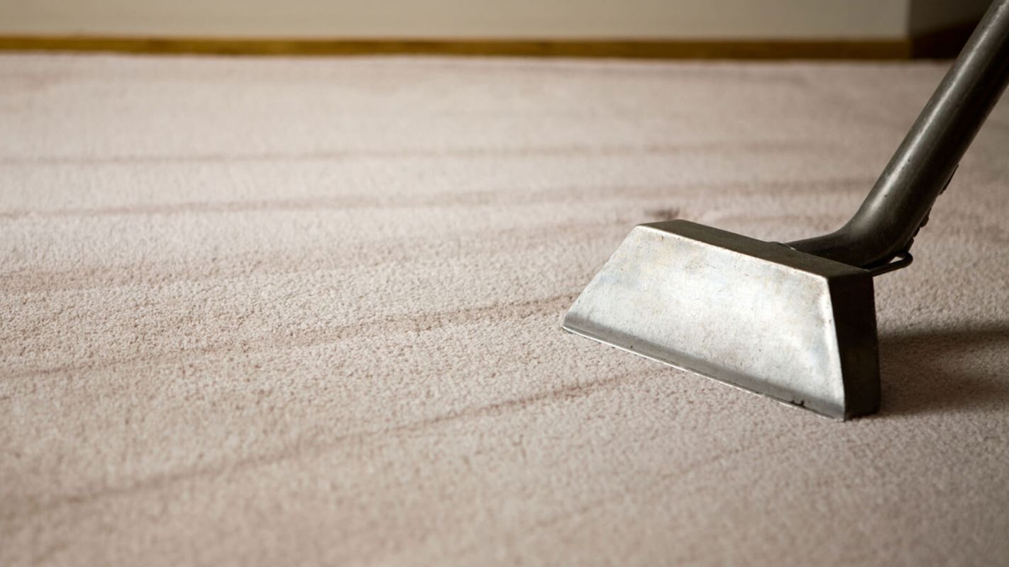 Residential Carpet Cleaning Hilton Head Island SC