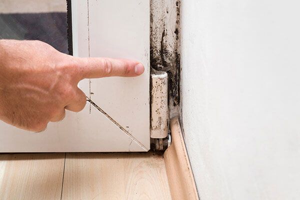 Black Mold Testing Service Staten Island NY