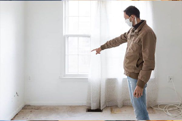Mold Testing Services Staten Island NY