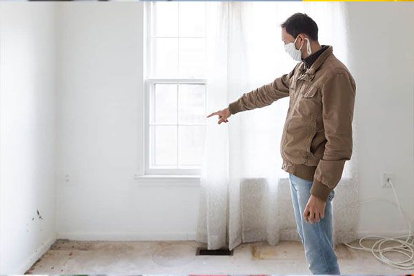 House Mold Inspection Services Nassau County NY