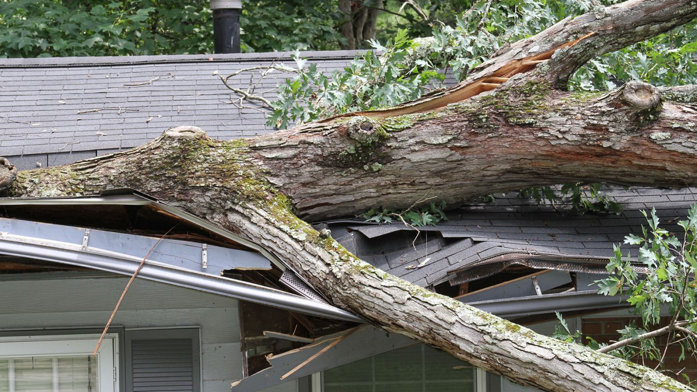 Storm Damage Roof Repair Manhattan NY