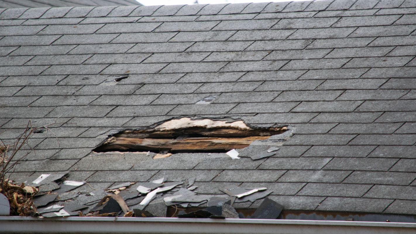 Storm Damage Roof Repair Services Carbondale IL