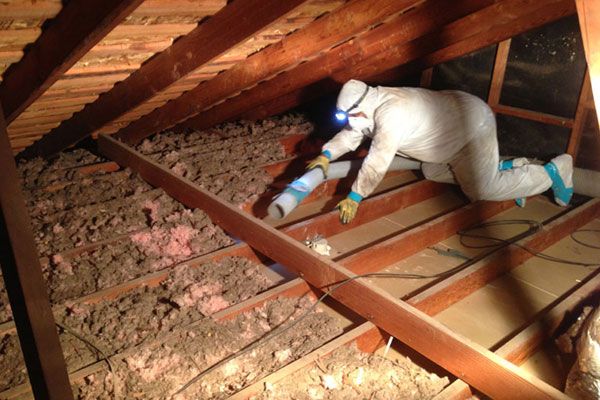 Attic Inspection Akron OH