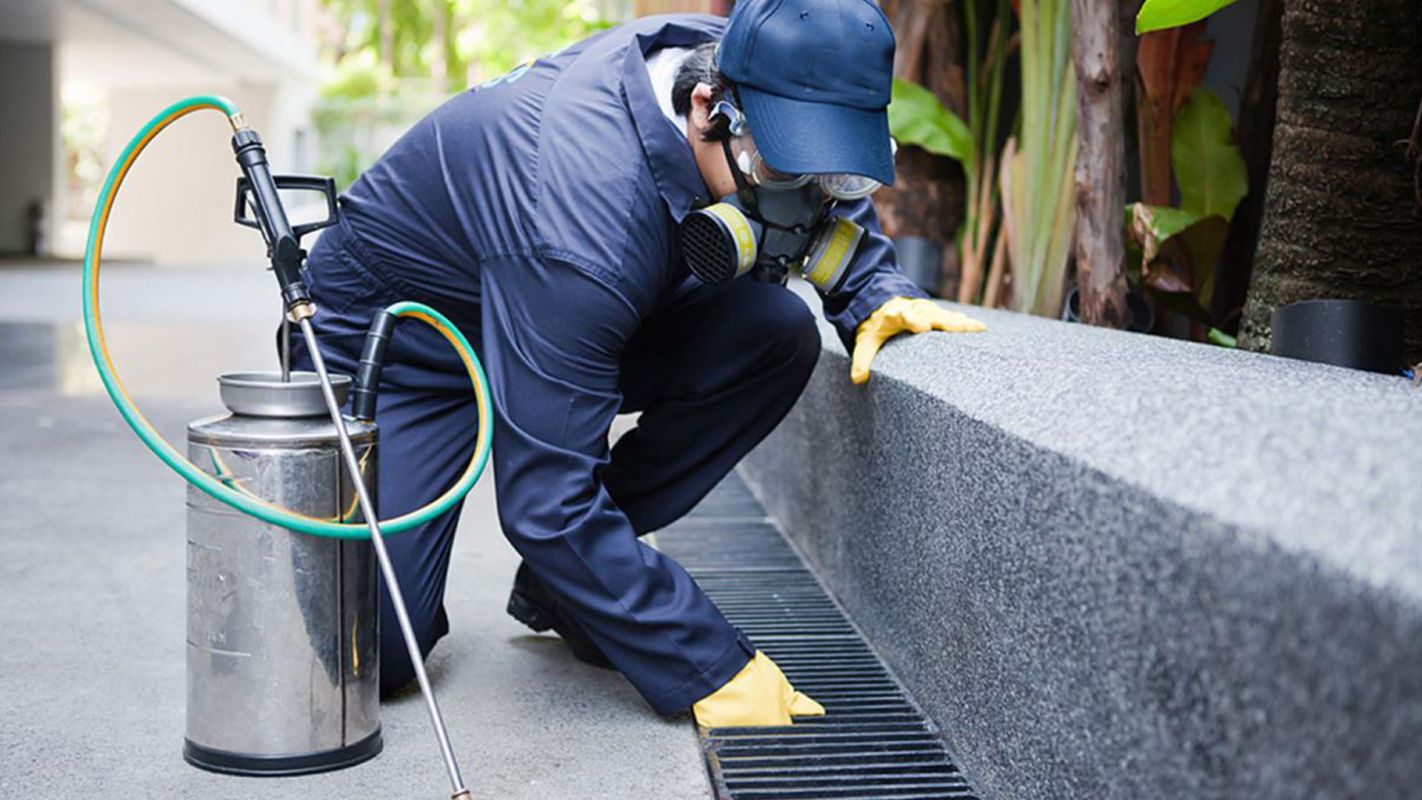 Termite Fumigation Services Lake Forest CA