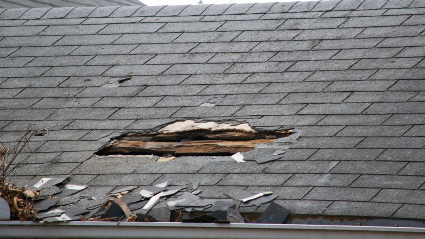 Storm Damage Roof Repair Services Harrisburg IL