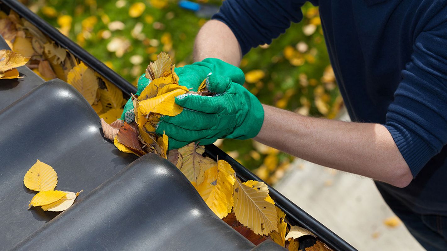 Gutter Cleaning Services Duluth GA