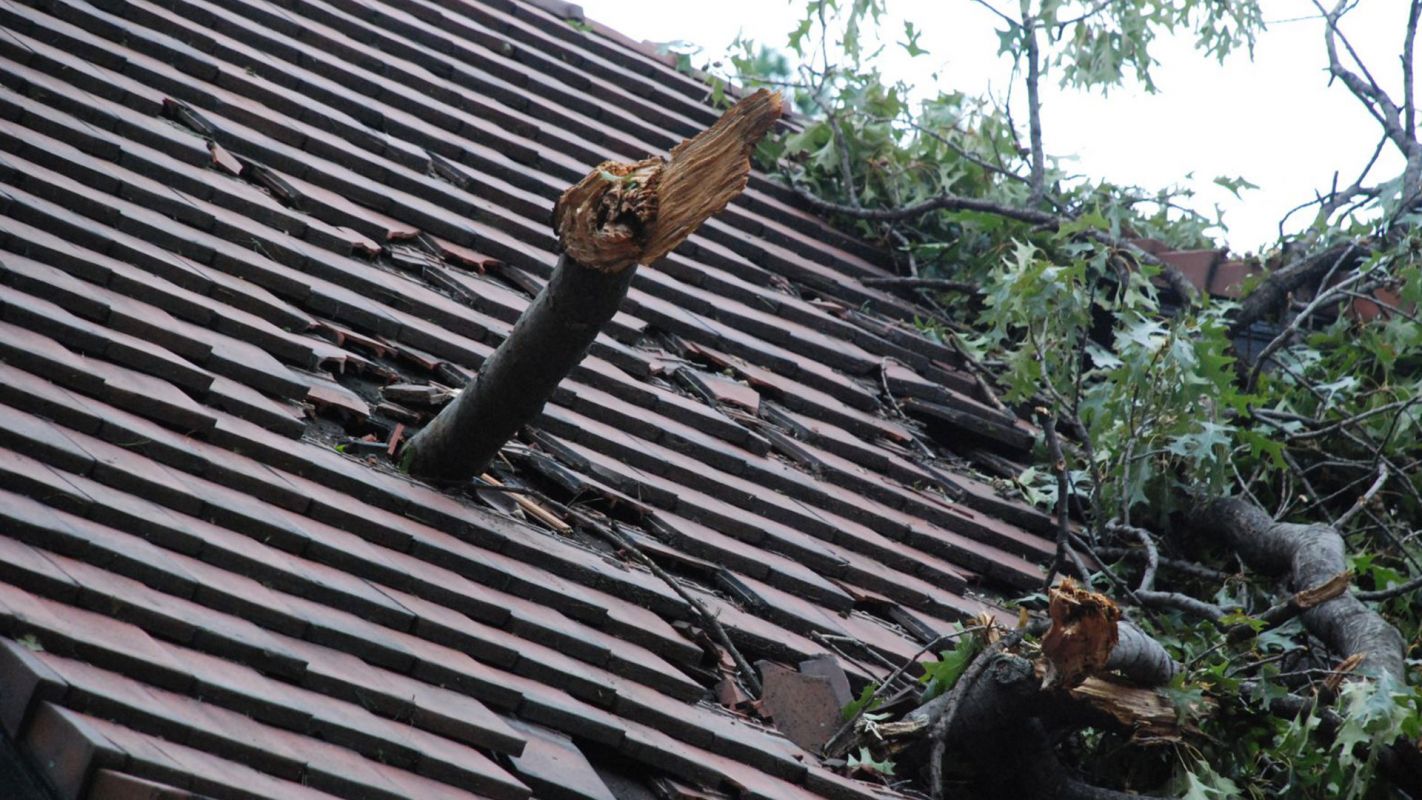 Storm Damage Roof Repair Alpharetta GA