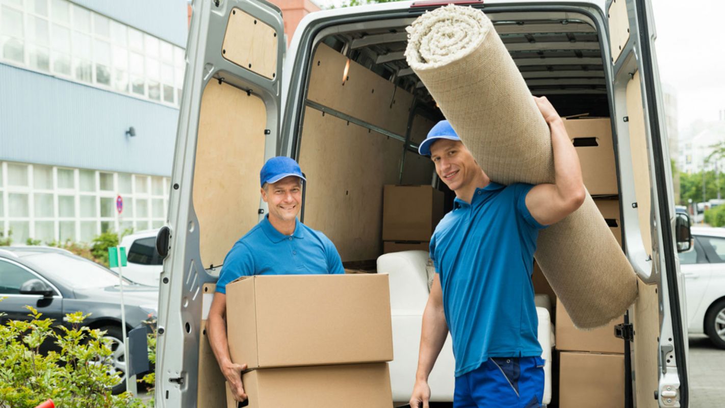 Local Movers Paradise NV