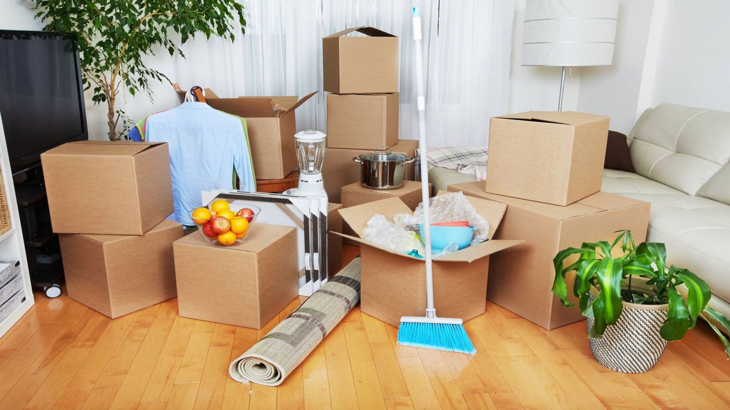 Move In Cleaning Services Green Valley North NV