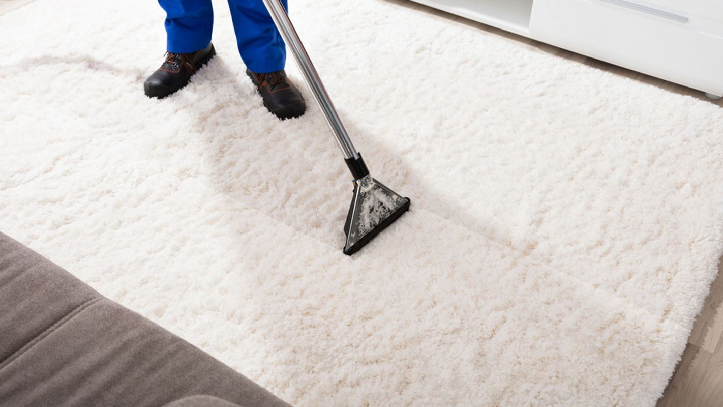 Carpet Disinfection Service King of Prussia PA