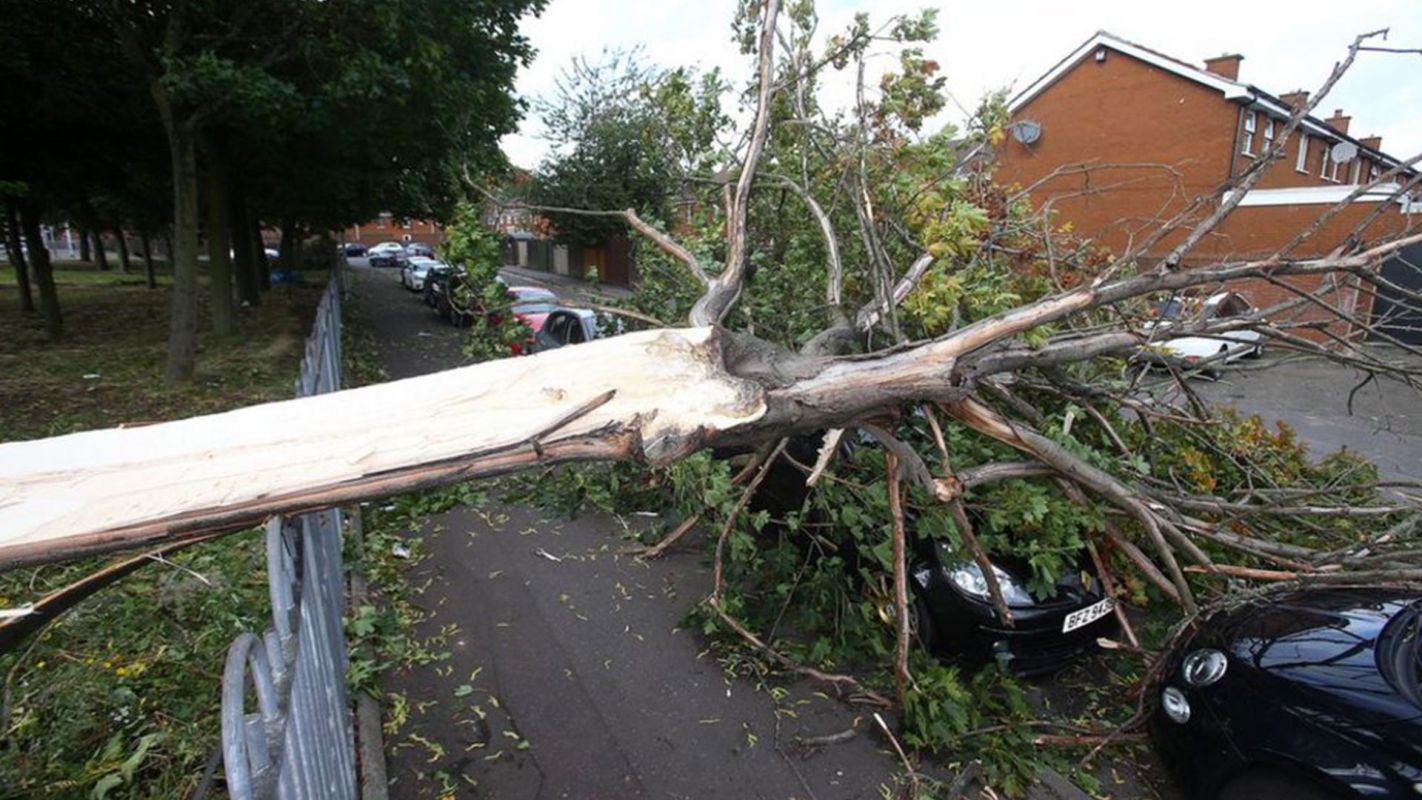 Storm Debris Removal Services Cleveland OH