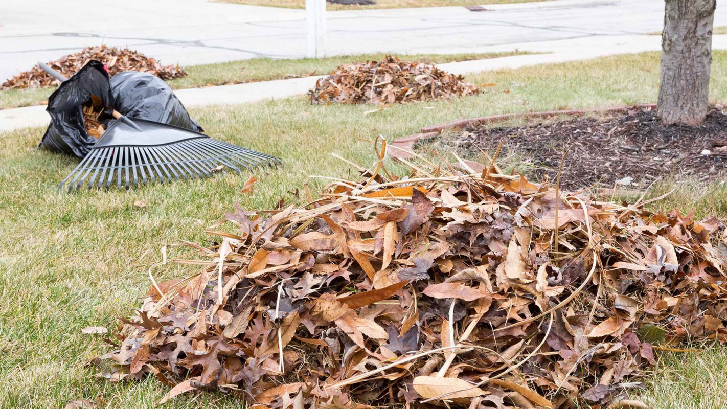 Yard Debris Removal Services Cleveland OH