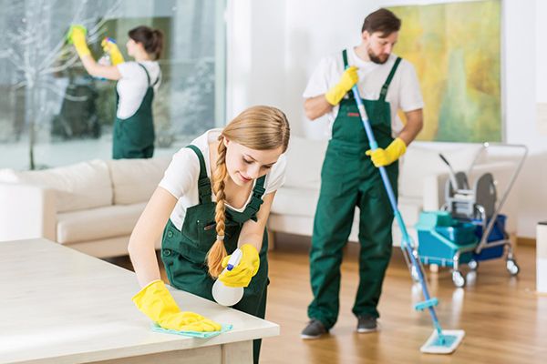 Maid Services Somerset MA