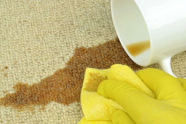 Stain Removal Service Somerset MA