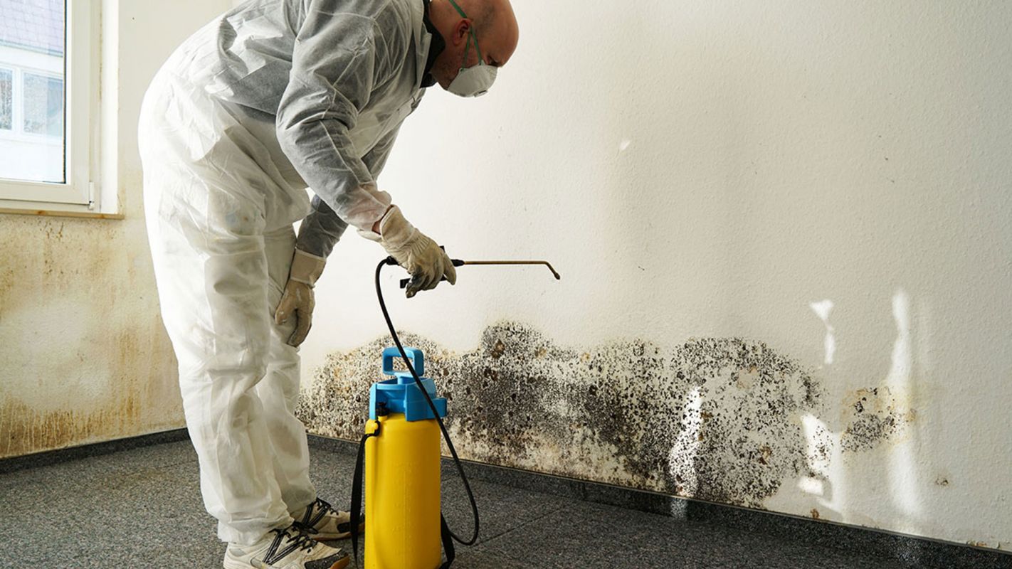 Mold Restoration Services Houston TX
