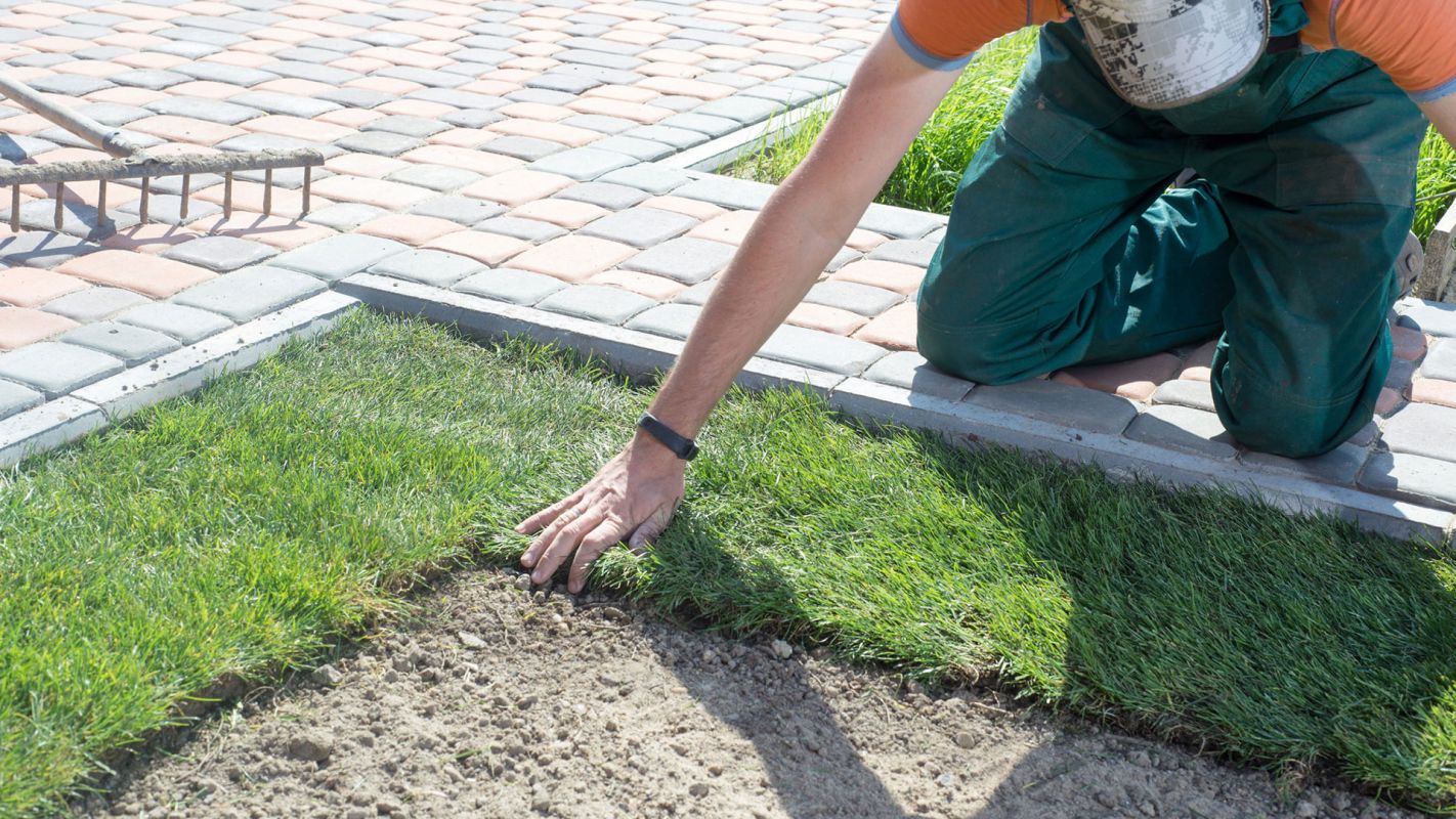 SOD Installation Cost Flower Mound TX