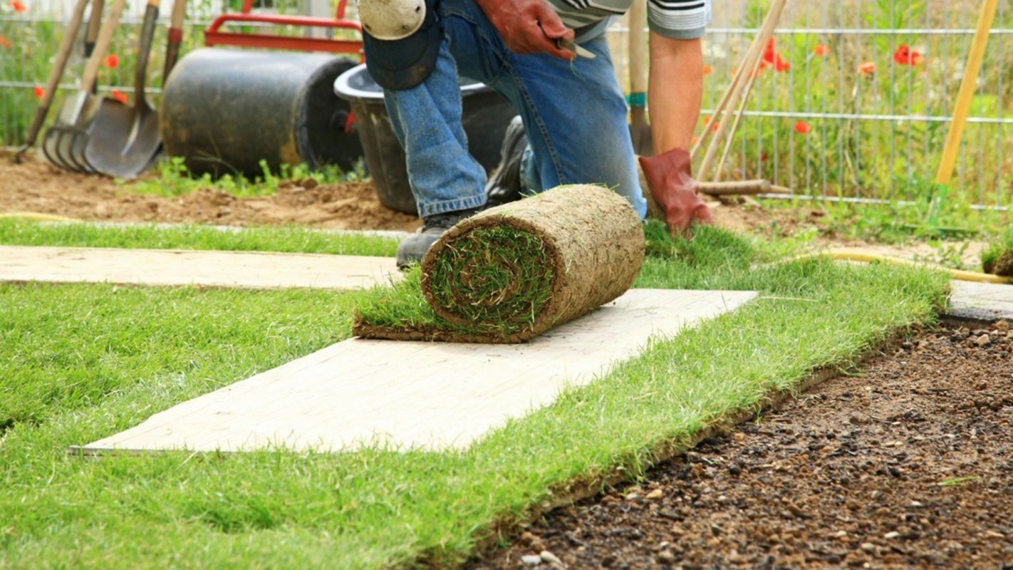 SOD Installer Dallas TX