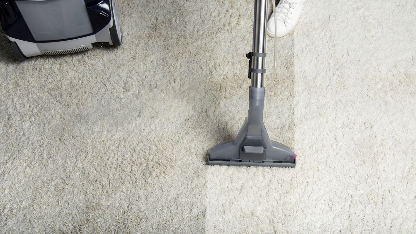 Deep Carpet Cleaning Services Seattle WA