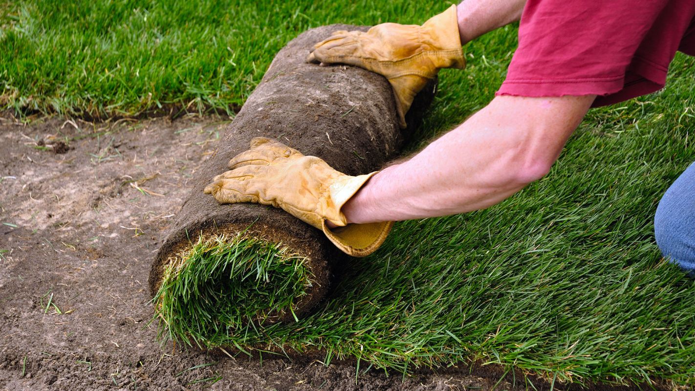 SOD Installation Melissa TX