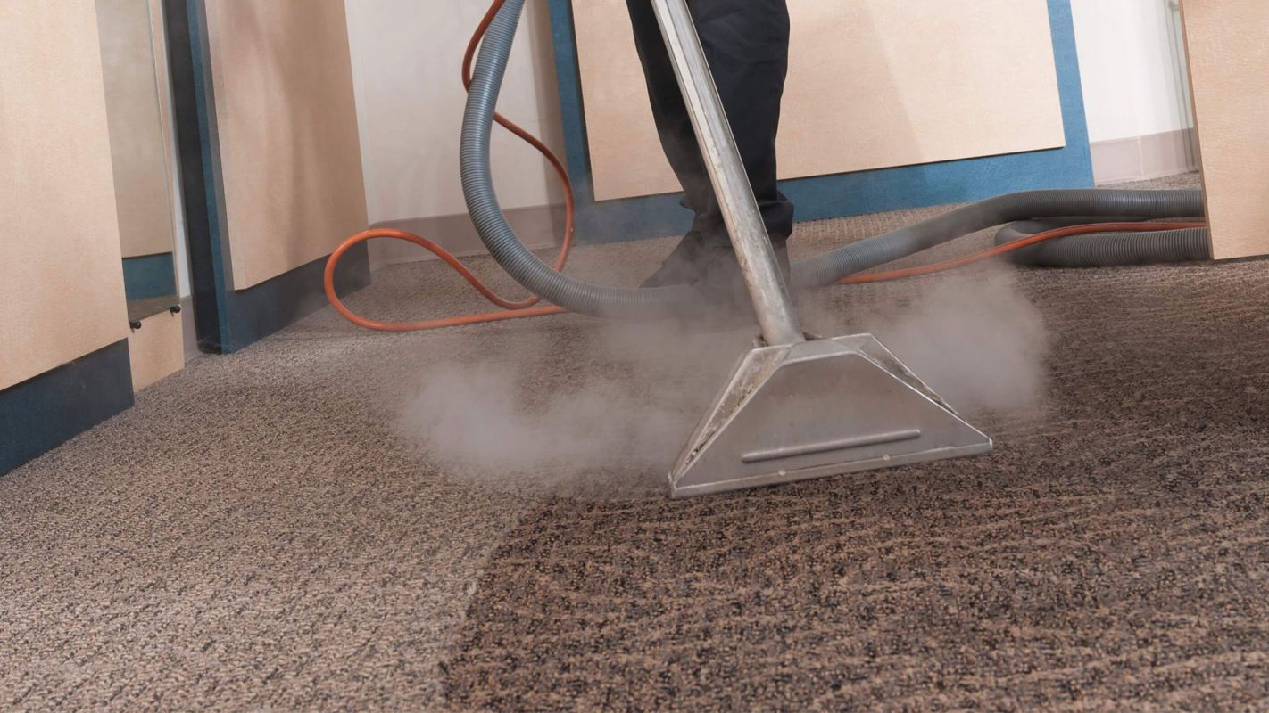 Steam Carpet Cleaning Services Redmond WA