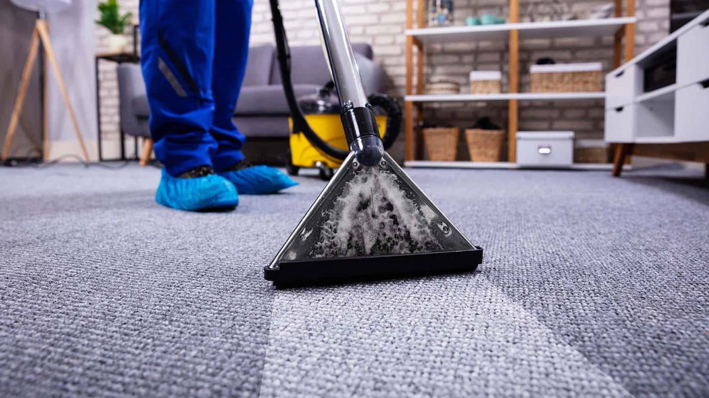 Best Carpet Cleaning Services Redmond WA
