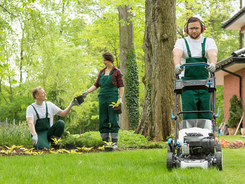 Landscaping And Cleaning Services