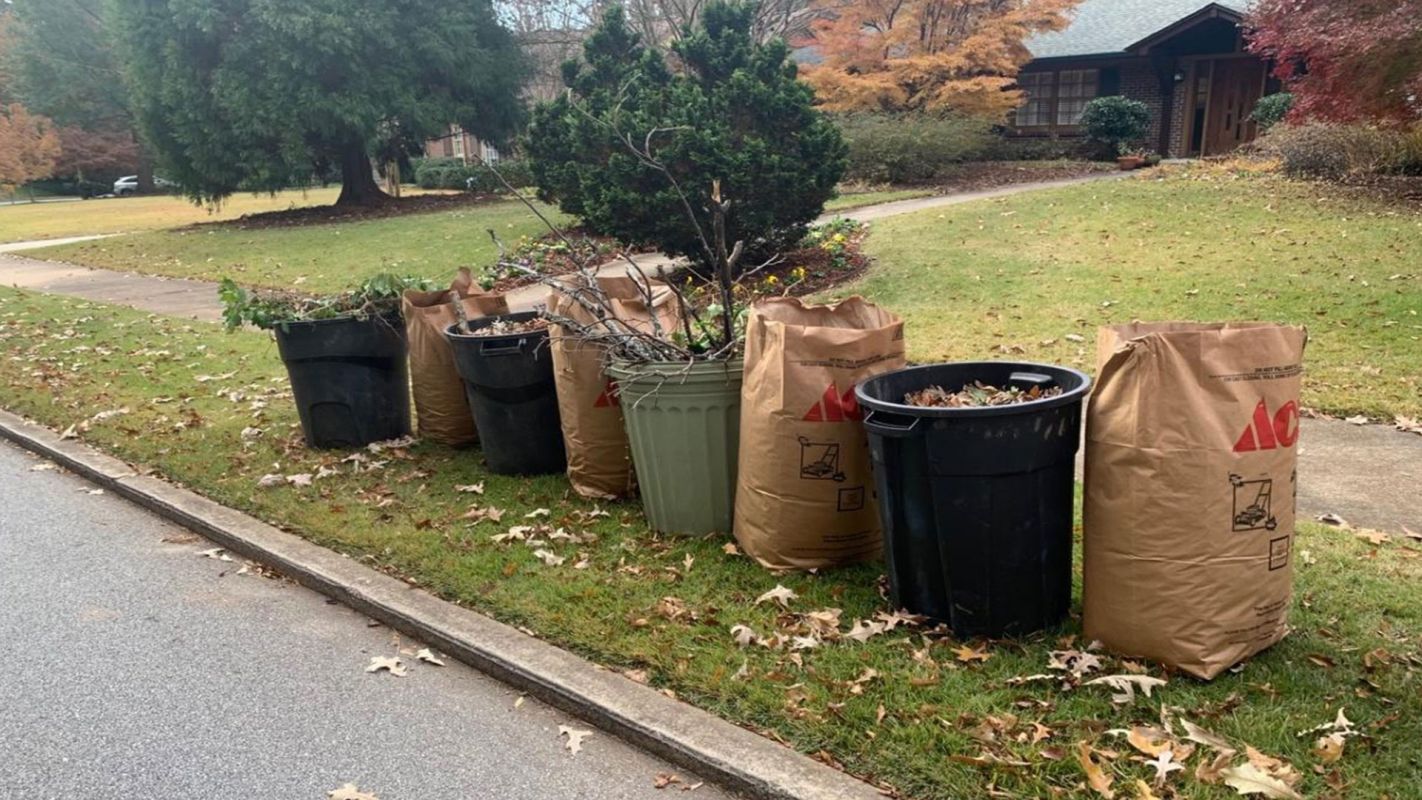 Yard Waste Disposal Windsor CO