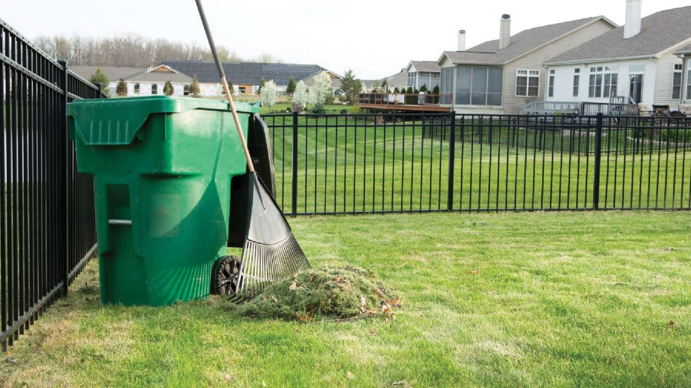 Yard Debris Removal Buckhead GA