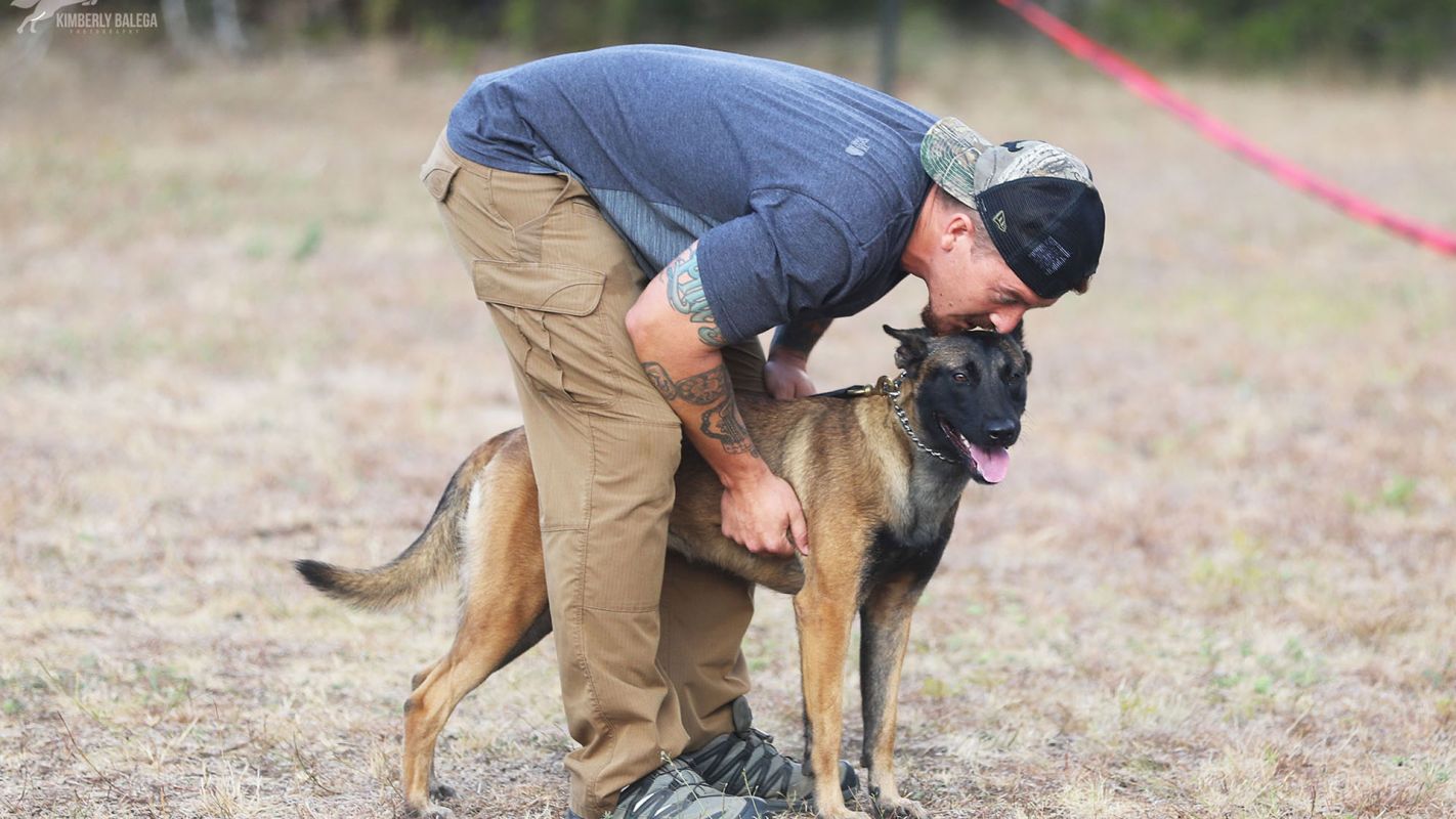 Pet Obedience Training Center Dallas TX