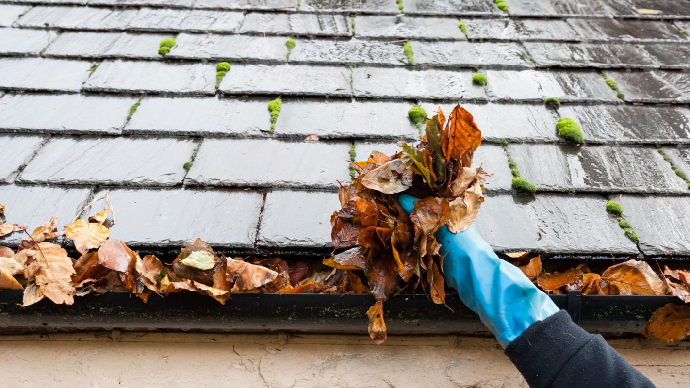 Gutter Cleaning Services Crystal Beach FL