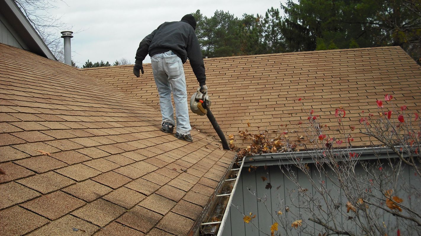 Gutter Cleaning Services Safety Harbor FL
