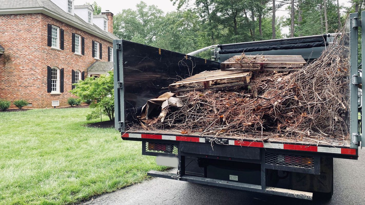 Yard Debris Removal Services Beverly Hills CA