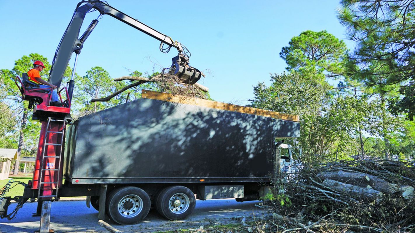 Storm Debris Removal Services West Hollywood CA