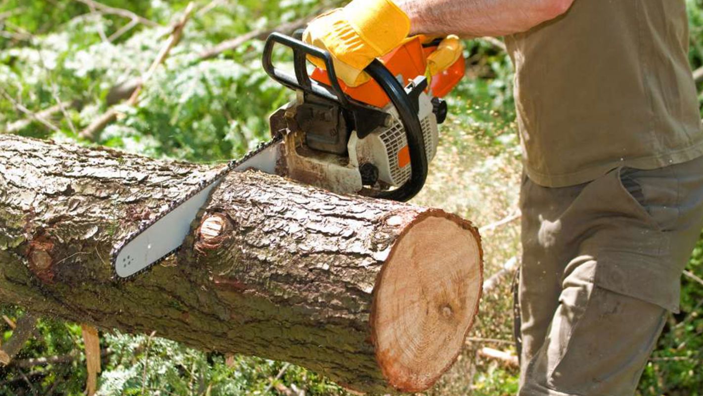 Tree Cutting Service Birmingham AL