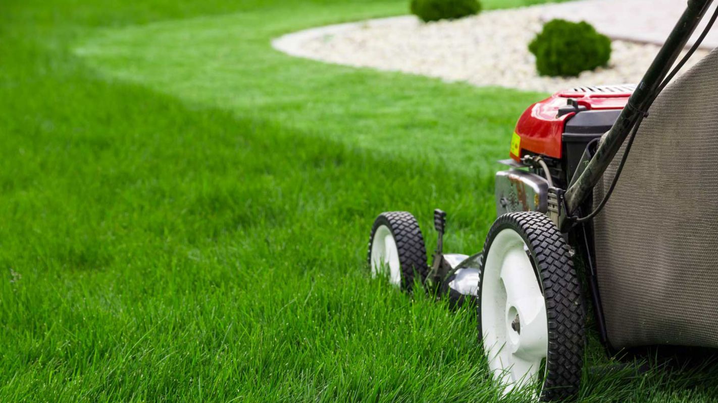 Lawn Maintenance Service Norwalk CT