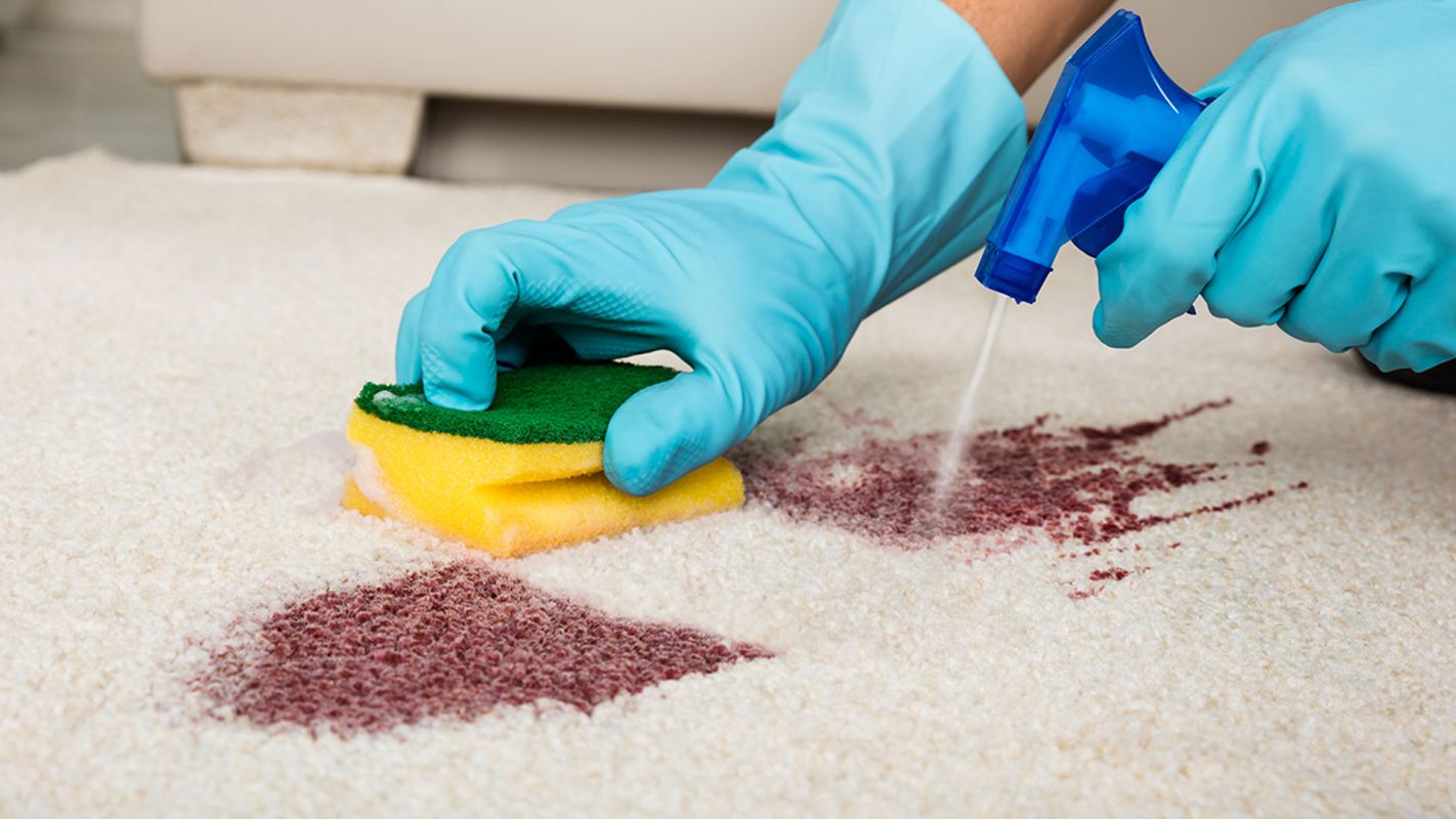 Carpet Stain Removal - Revive Your Carpet's Appeal in Cheverly MD