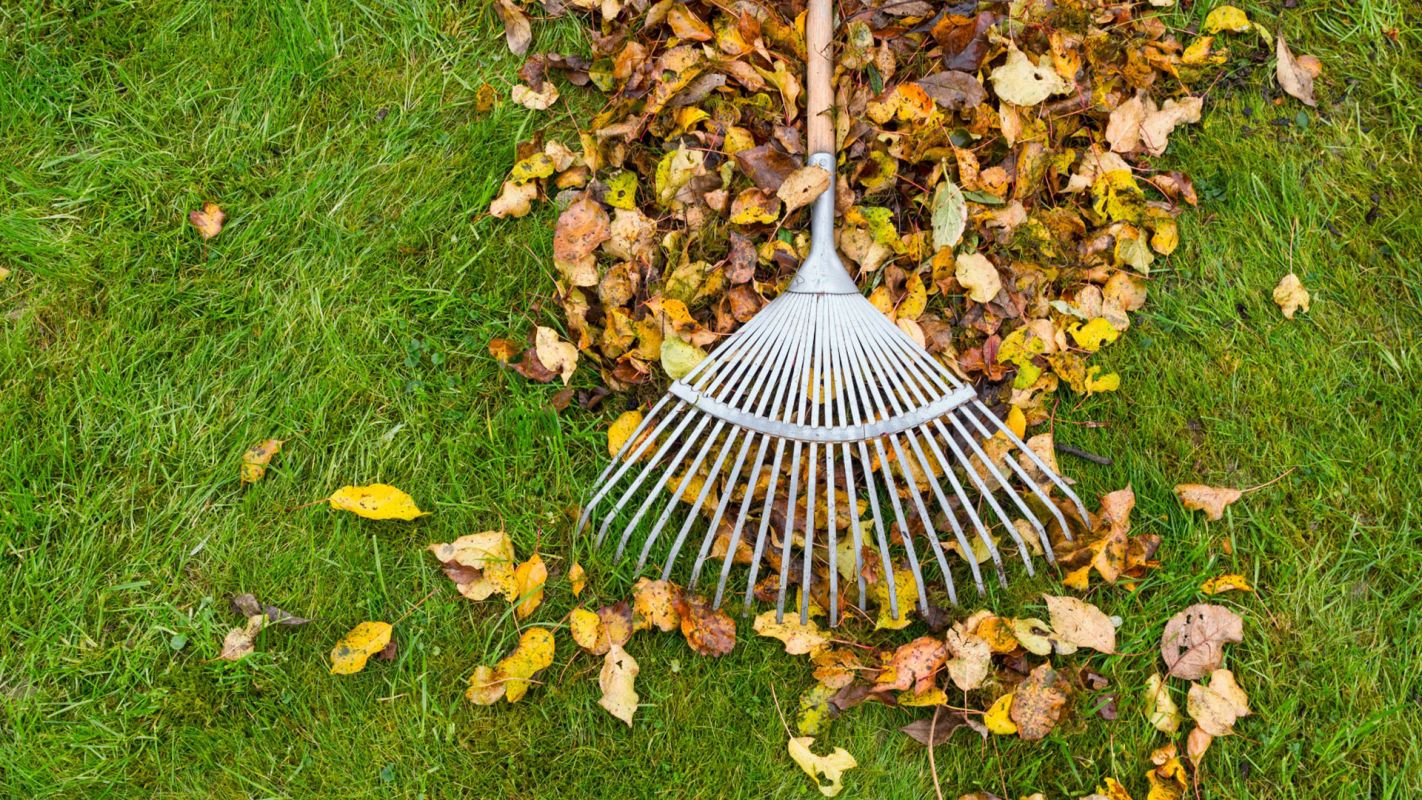 Lawn Cleaning Services Sumiton AL