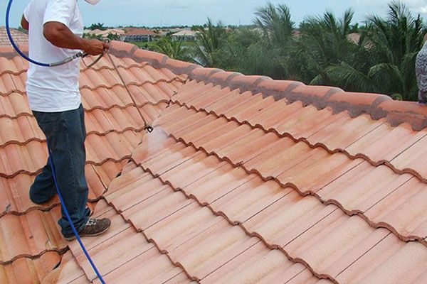 Roof Cleaning Services Lutz FL