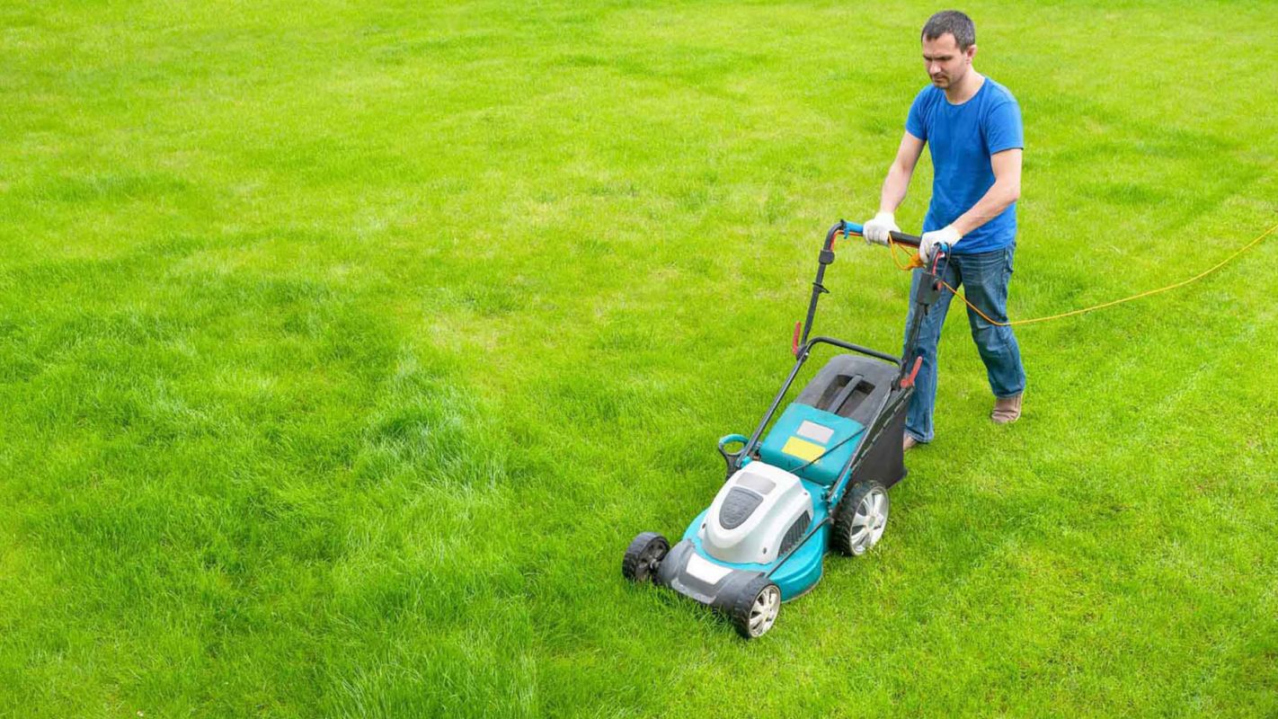 Lawn Care Services Bradley IL