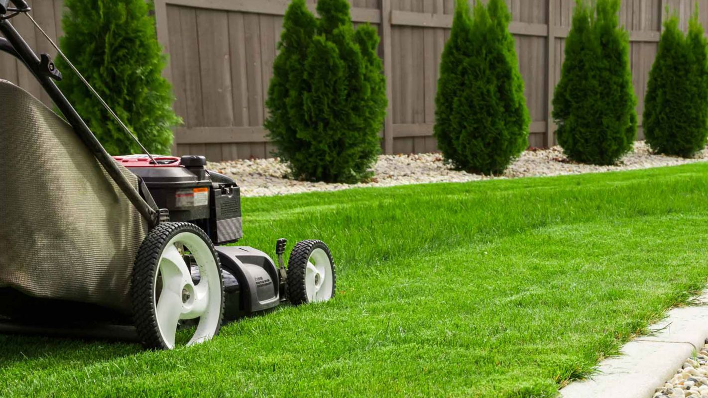 Residential Lawn Care Services Bradley IL