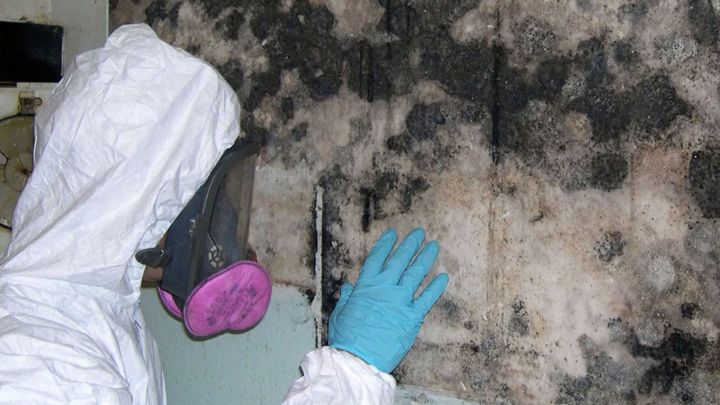 Black Mold Testing Services Great Falls MT