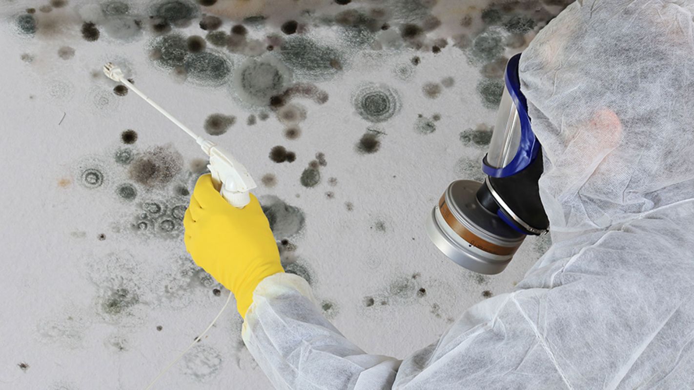 Mold Testing Services Great Falls MT